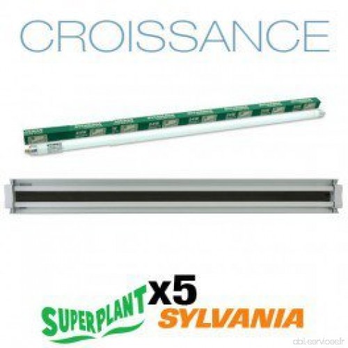 Kit Croissance T5HO 10x54W 6500K Plug and Play - Superplant & Syania - B0722XKFLC