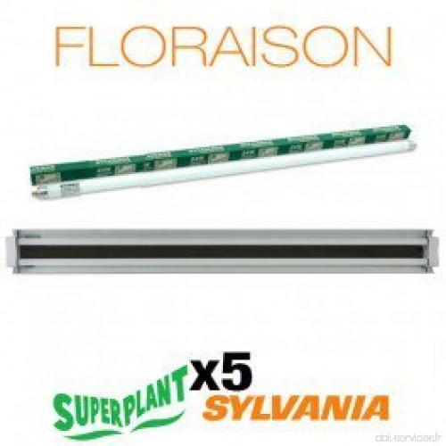 Kit Floraison T5HO 10x54W 3000K Plug and Play - Superplant & Syania - B0719BVNGN