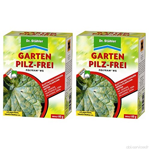 La Cour Lauriers® Set : 2 x Dr. Stähler polyram WG champignon de jardin sans  60 g + Gratuit Lauriers la Cour Flyer - B0768G6XTY