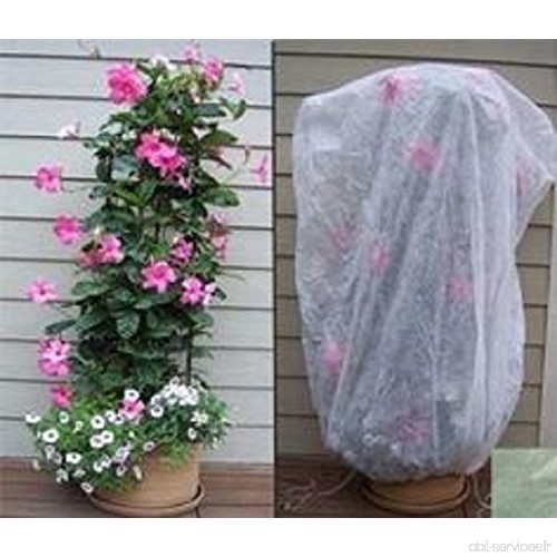 Le drap de protection en polaire pour les plantes et cultures du jardin Contre les insectes et le gel - B017KQGTP6