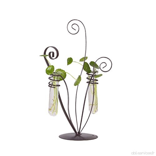 Lennonsi fer Décoration murale à suspendre pour plantes support pour récipient en verre de fleurs hydroponique Vase à suspendre 