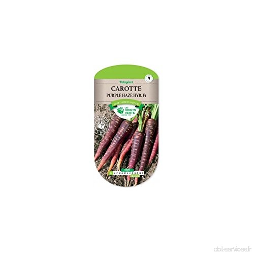 Les doigts verts Semence Carotte Purple Haze Hub F1 - B06XCJ6VLC