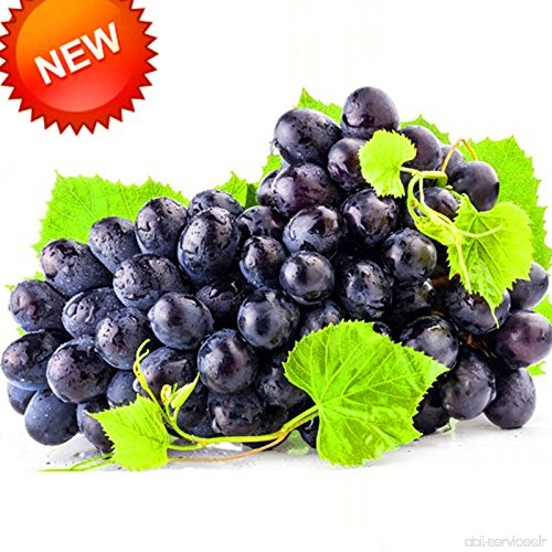 Les meilleures ventes  100 PCS / Paquet 12 sortes de pépins de raisin Fruit avancée Graine naturel Croissance raisin sucré Kyoho