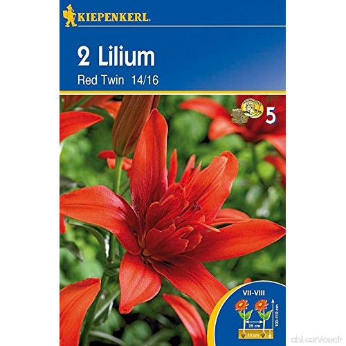 Lilien Red Twin - B00IK6XYPY