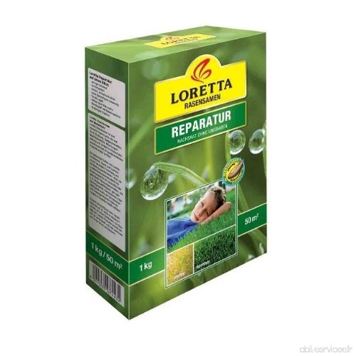 Loretta Réparation - Réensemencement Sans Retournement (1 kg) - B00K9D9XBA