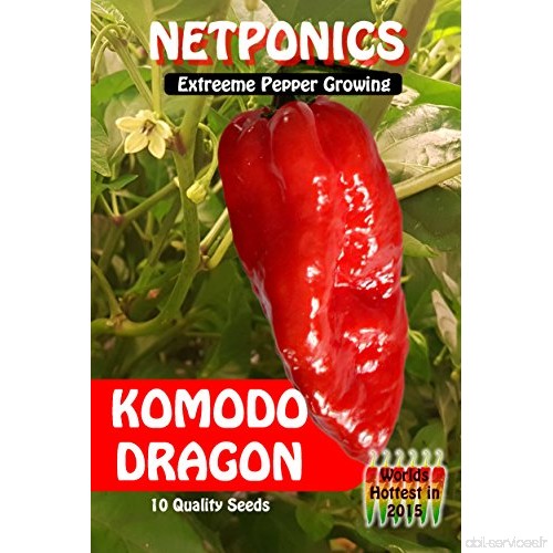 Lot de 10 graines de piments extra forts Komodo Dragon - B01JJ5895Y