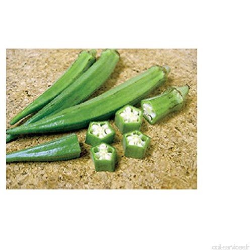 lot de 50 graines de Gombo Clemson Spineless fruit jardin potager potage cuisine sauce plante aromatique - B0747MFFX2