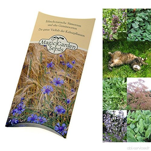 Magic Garden Seeds Kit de graines: 'Herbes-aux-chat'  semences pour 3 variétés de plantes adorées par les chats dans un beau cad