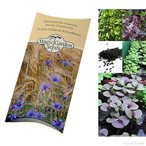 Magic Garden Seeds Kit de graines: Variété de Basilic  3 variétés aromatiques très différentes de basilic dans un bel emballage 