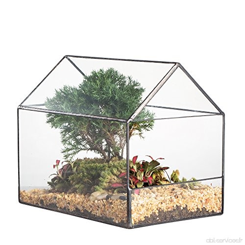Maison en verre de forme géométrique Terrariumn côté ouvert pour Succulente Cactus Fern Moss miniature - B06XRNVYVC