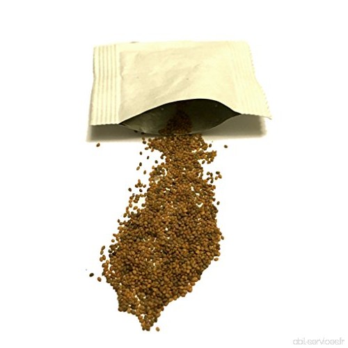 Micro-pousses Graine à Germer Roquette Cadeau Bio. Kit de Culture d'Herbe. Environ 2000 Graines. Cultivez Vos Herbes Fraîches Su