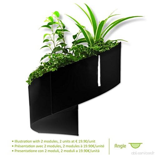 Modul'Green - Pot pour plantes mural Design - Intérieur / Extérieur - Noir - B008IFTCT4
