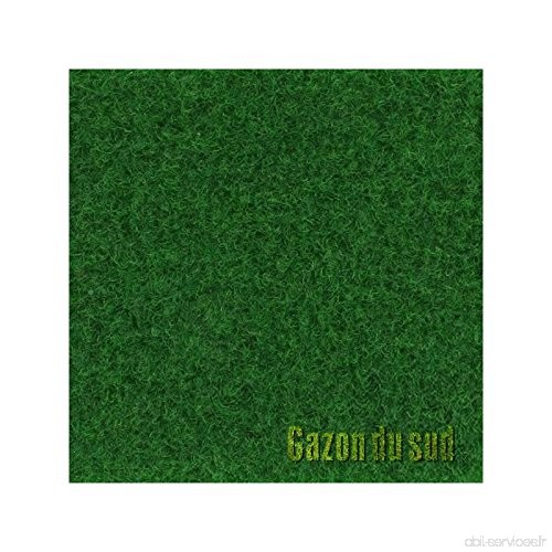 Moquette Easy Green Gazon Synthétique Longueur(s) - 3m  Largeur(s) - 1 m - B00XTVTQKM