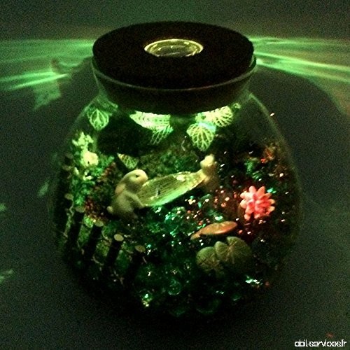 Musykrafties 15 cm Round Terrarium en verre Pot de bol à nourriture avec éclairage LED Bois Couvercle de table Pot de fleurs art