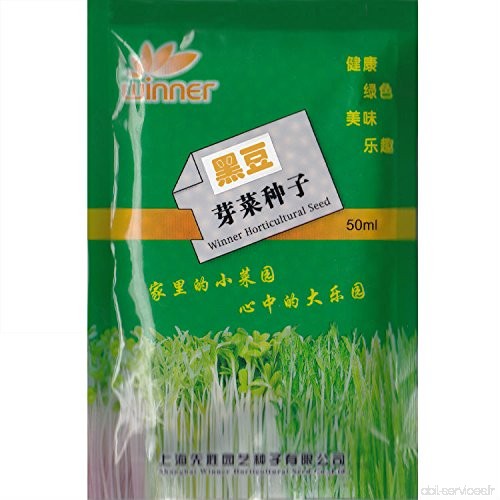 Noir soja Pousses Seed * 1 paquet (50 ml) Graines * Glycinemax * Non-OGM Heirloom * Seed Samen * Livraison gratuite * - B01M00ZI