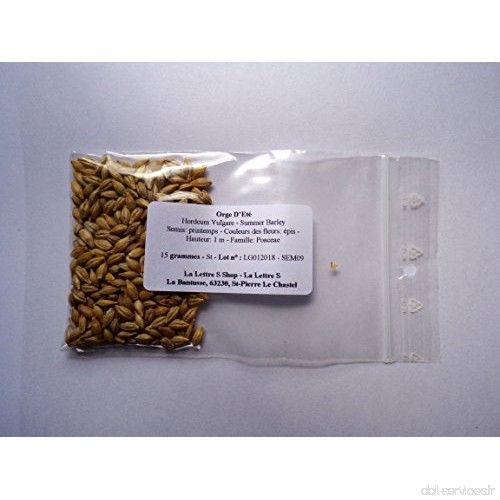 Orge D’Eté - 15 grammes - Hordeum Vulgare - Summer Barley - ( Engrais Vert - Green Manure ) - SEM09 - B07CPLYF2R