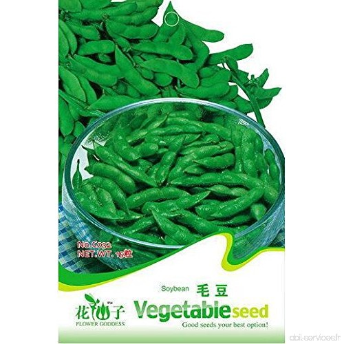 package couleur famille semences de légumes graines de coriandre bio  légumes Pack balcon famille d'environ 150 / sac - B01M168Z