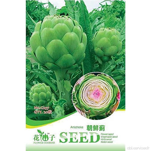 package couleur famille semences de légumes graines de coriandre bio  légumes Pack balcon famille d'environ 150 / sac - B01M1HZ4