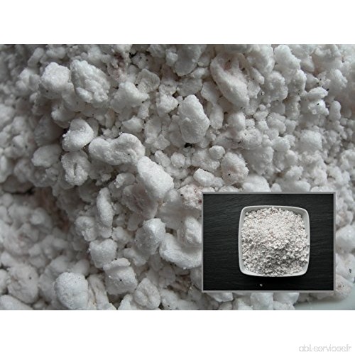 Perlite - 15 grammes - Expanded Perlite - B076Q56VCL
