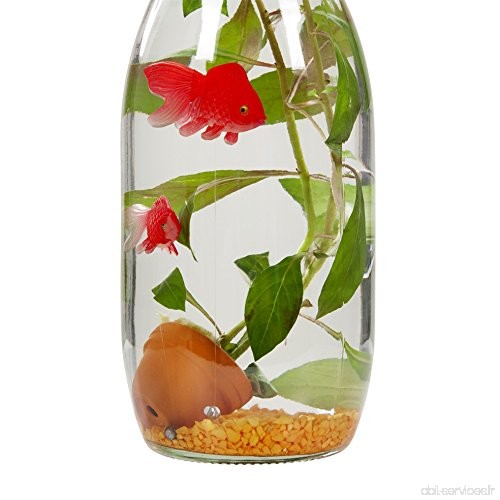 Plantes aquatiques - Waterworld  poissons en bouteille  gravier orange - ludwigia - B07CJR9X6Q