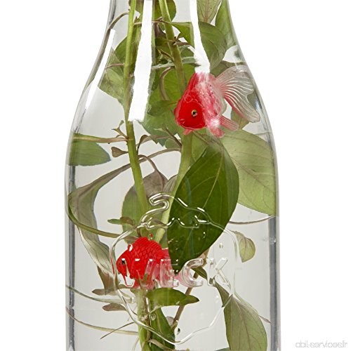 Plantes aquatiques - Waterworld  poissons en bouteille  gravier rose - ludwigia - B07CK396V4