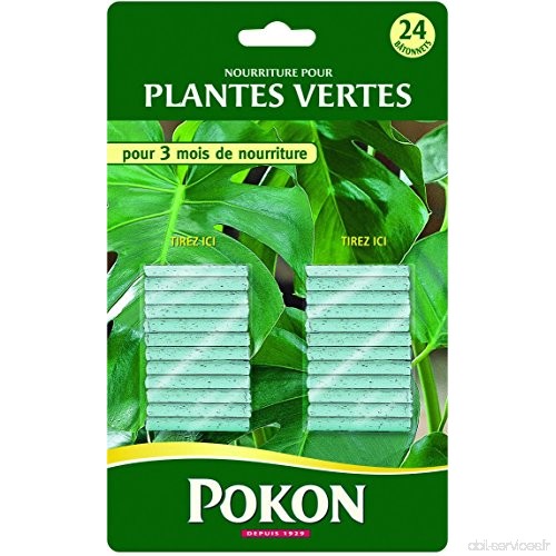Pokon Engrais Batonnets Plantes Vertes x24 - B01H1JJ490