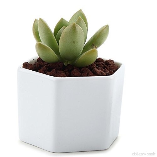 Pot de fleurs en céramique  y & M (TM) Blanc Design Simple Sucuulent Pot de fleurs/Cactus Pot de fleurs Pot de fleurs avec plate