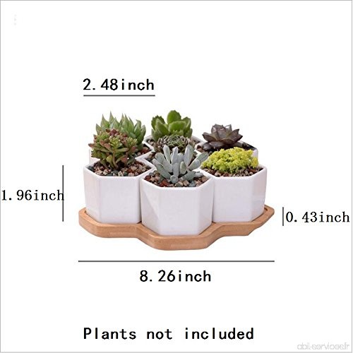 Pot de fleurs en céramique  y & M (TM) Blanc Design Simple Sucuulent Pot de fleurs/Cactus Pot de fleurs Pot de fleurs avec plate