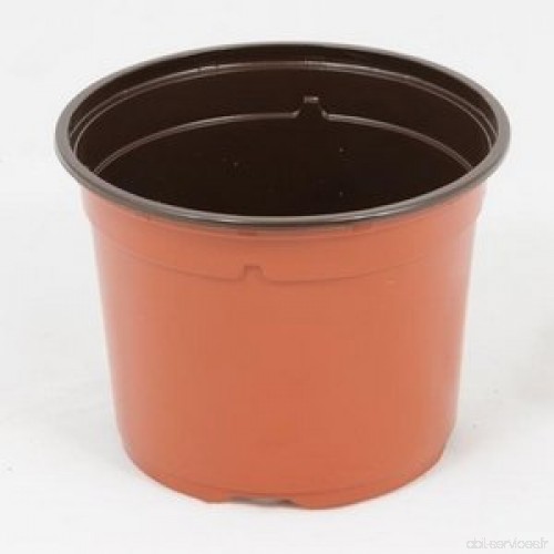Pot horticole DUO 12 cm terre cuite (x 50) (matière plastique) - B00I2H2YPM