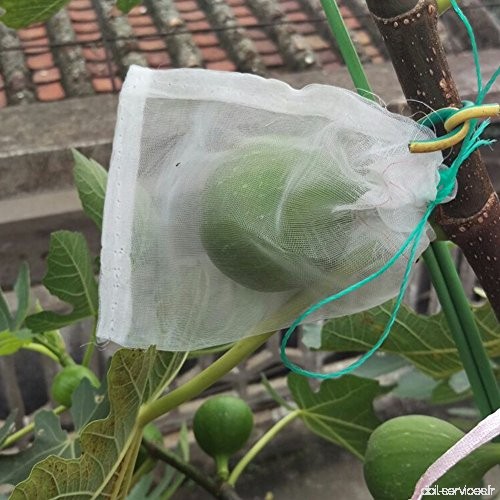 Qees 15 2 x 10 2 cm insectes Mosquito Bug Net Barrier Sac de fruits de jardin Fleur Sacs de protection de maille de nylon Sac fi