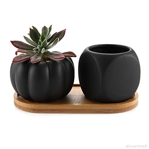 Rachel Choice Pots en Matte Serial Succulent Plant Pot Cactus Pot de fleurs Container Avec Plateau Noir - B0798LCQTM