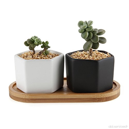 Rachel Choice Pots Mini de Plante de Style Hexagone en Céramique Succulent Pots Cactus Pot de Fleurs Plant avec Plateau Blanc & 