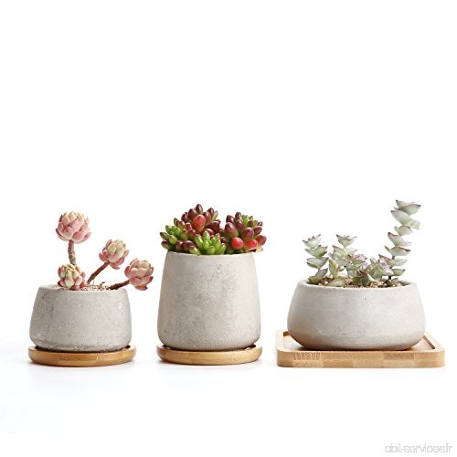 Rachel's Ciment Série Sucuulent Cactus Pots de fleurs Jardinières Conteneurs Boîtes de Fenêtre avec Plateau en Bambou 1 Paquet d