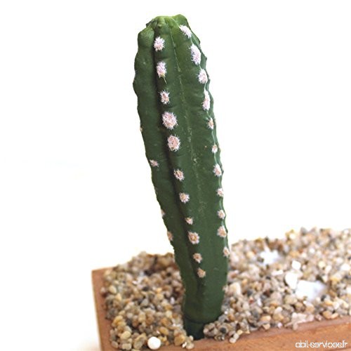 Réaliste artificiel Cactus Succulentes Boule Prickly poires Plantes Faux Artisanat en plastique Paysage de jardin famille Décor 
