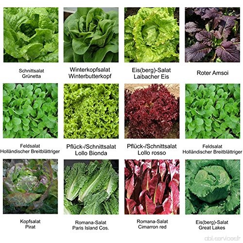 RWS Semences - sélection des semences - Set - Mix - Mix - lit salade 1-12 variétés - environ 2.900 graines - B01M8F0ARF
