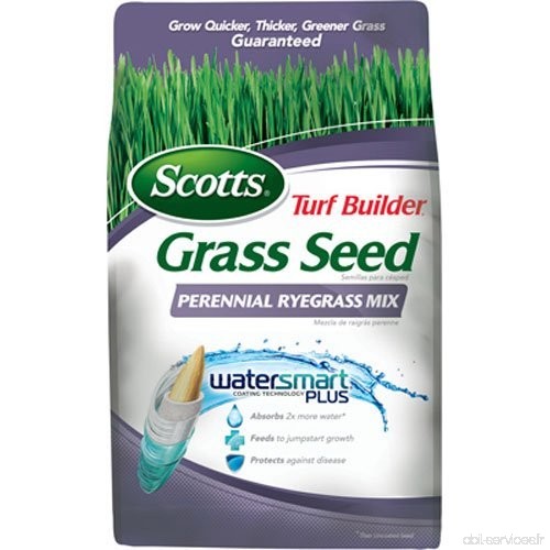 SCOTTS LAWNS - Turf Builder Perennial Ryegrass Seed Mix  7-Lbs. - B003AYYCZ2