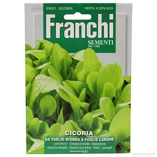 Seeds of Italy Franchi Graines de chicorée à feuilles à couper - B00E7QQL3I
