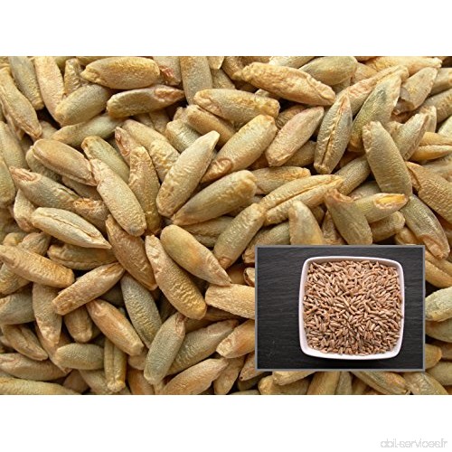 Seigle Fourrager Pastar - 40 grammes - Secale Cereale L. - Rye - ( Engrais Vert - Green Manure ) - SEM02 - B01N2RD9ED