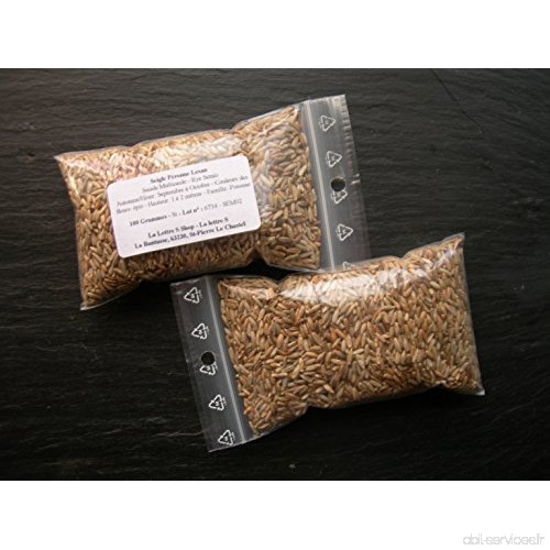 Seigle Pérenne Lesan - 100 grammes - Secale Multicaule - Rye - ( Engrais Vert - Green Manure ) - SEM02 - B075TWQ9J6