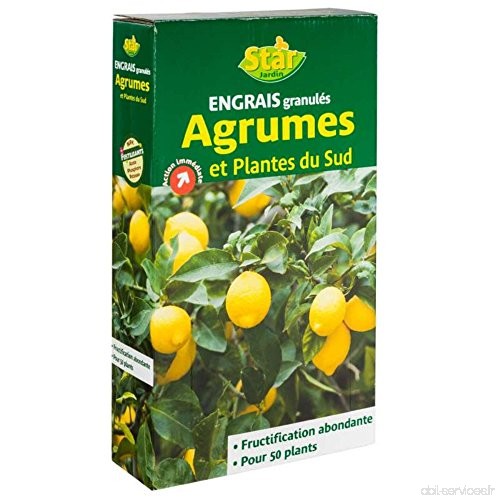 Star jardin 08140 Engrais Agrume en Granulés Vert 1 kg - B01E46PL5E