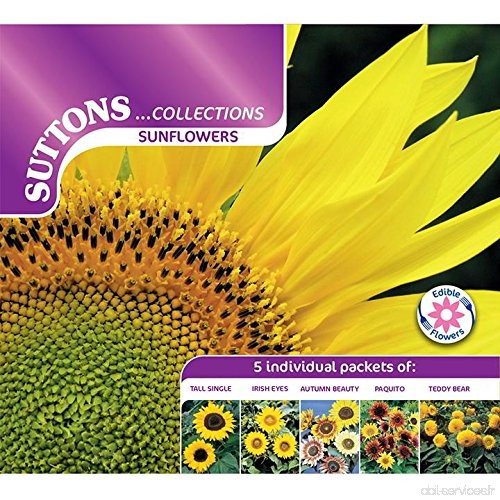 Suttons Seeds 139800 Graines de tournesol - B000NB6AA0
