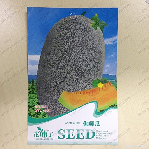 SVI Semences Paquet original de la fruits  graines de Melon d'eau  la floración Madura 80 jours  8 particules semences/sac - B01