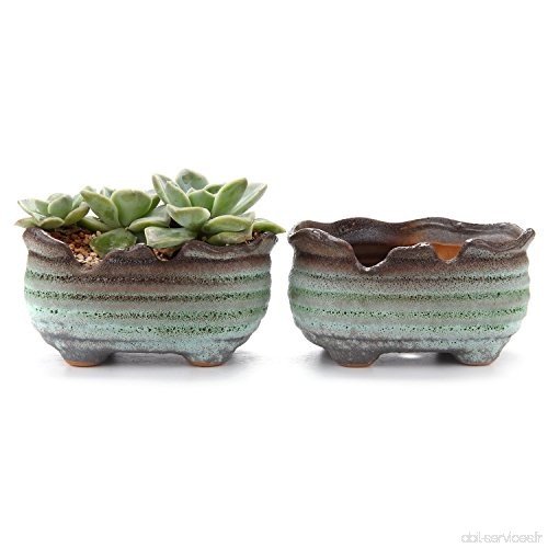 T4U 14CM Pot en Forme de Glaze des Bulles/plante Succulente/Plante en Pot/Cactus/Pot De Fleur/jardinière/Cultiver 1 Paquet de 2 
