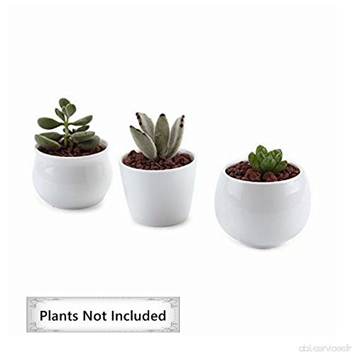 T4U 6.5/7/7CM Pots En Céramique Blanc Série NO.31/Plante Succulente/Plante en Pot/Cactus/Pot De Fleur/Cultiver 1 Paquet de 3 - B
