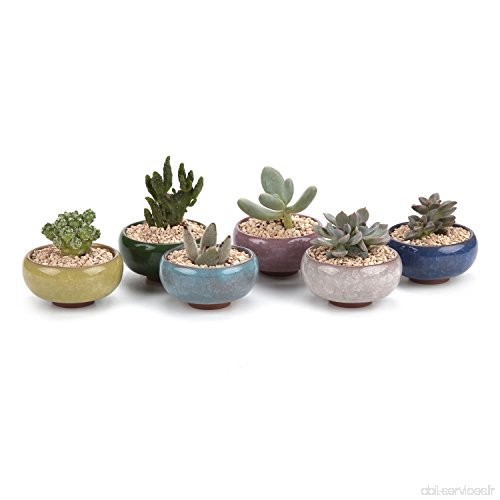 T4U 6.5CM Pots En Céramique Crépiter Zisha Série/Plante Succulente/Plante en Pot/Cactus/Pot De Fleur/Cultive 1 Paquet de 6 - B01