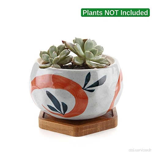 T4U La Série Japonais 11CM bol en Céramique Pot de Plantes Succulente Avec un Plateau en bambou - Motif de l'herbe rouge - B078N