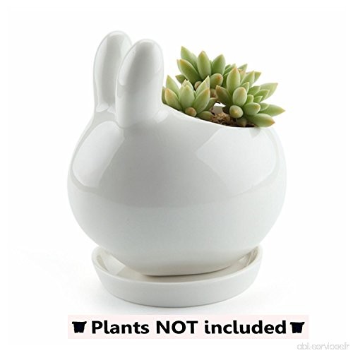 T4U Pots de Plants en Céramique d'accessoires En Forme de Lapin Mignon Design / Pots de Fleurs de Cactus / Récipient avec Platea