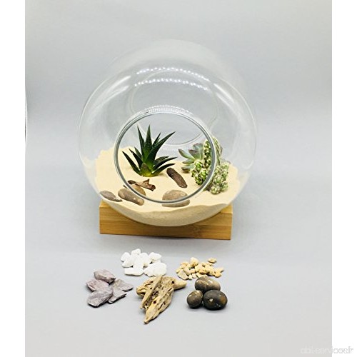 Terrarium kit avec récipient en verre et base en bois  Mini jardin  idée de cadeau  DIY Kit - B079R3KTKW