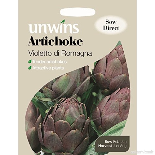 Unwins générations des paquets – artichaut Violetto di Romagna – 25 graines - B00NPAPRL4