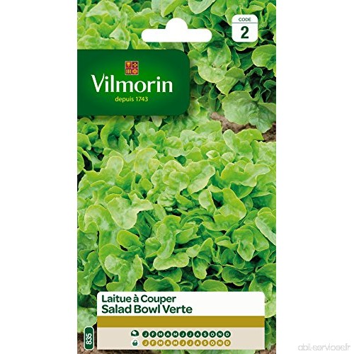 Vilmorin 3609742 Pack de Graines Laitue à Couper Salade Bol Vert - B010LYZ4GE